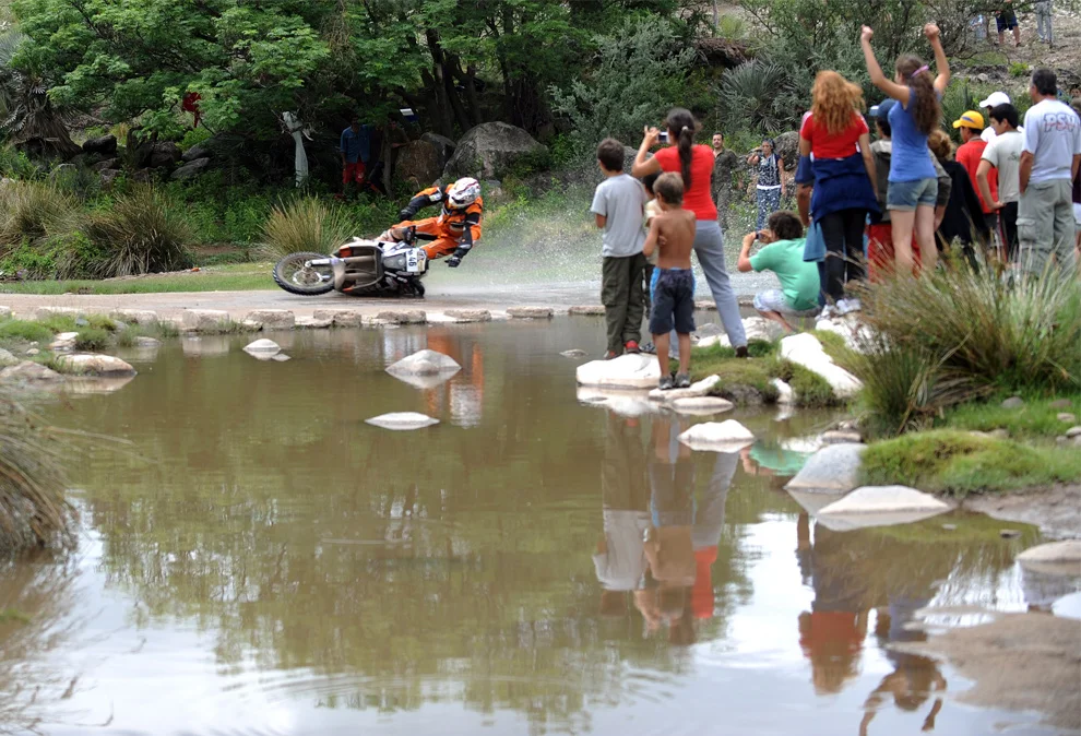 d08_21597369.webp