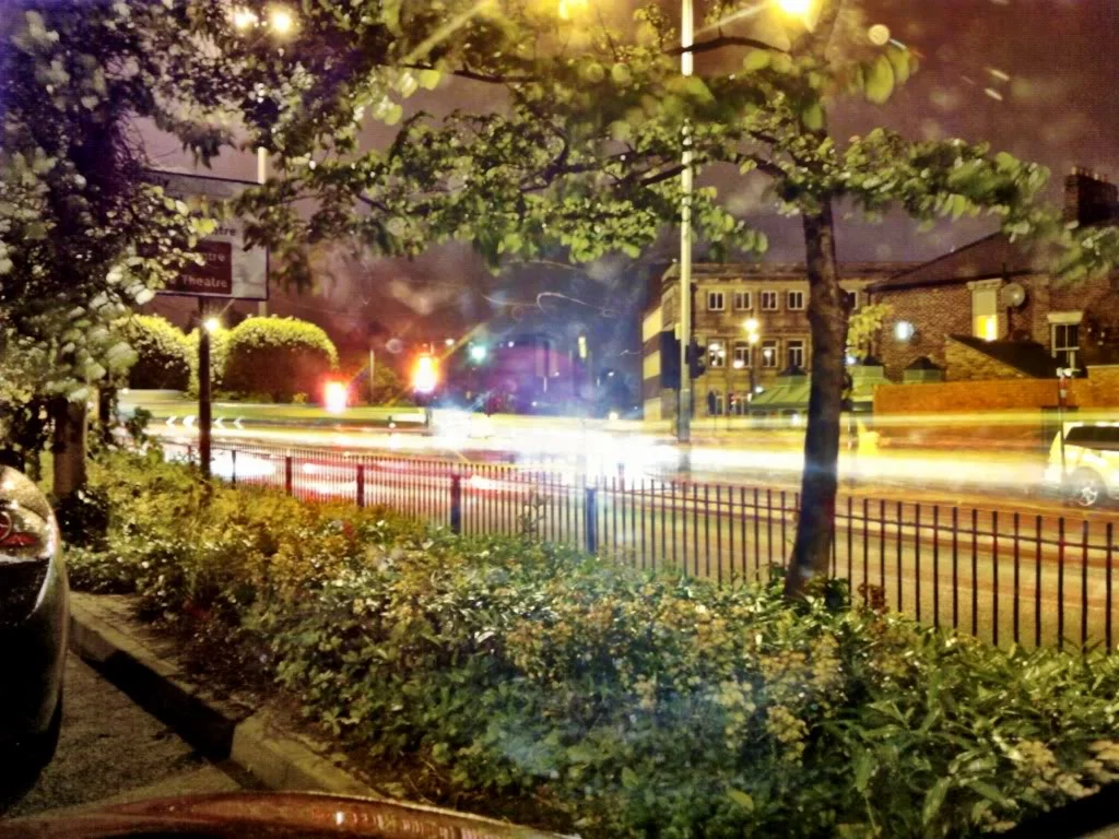 d1a29588.webp