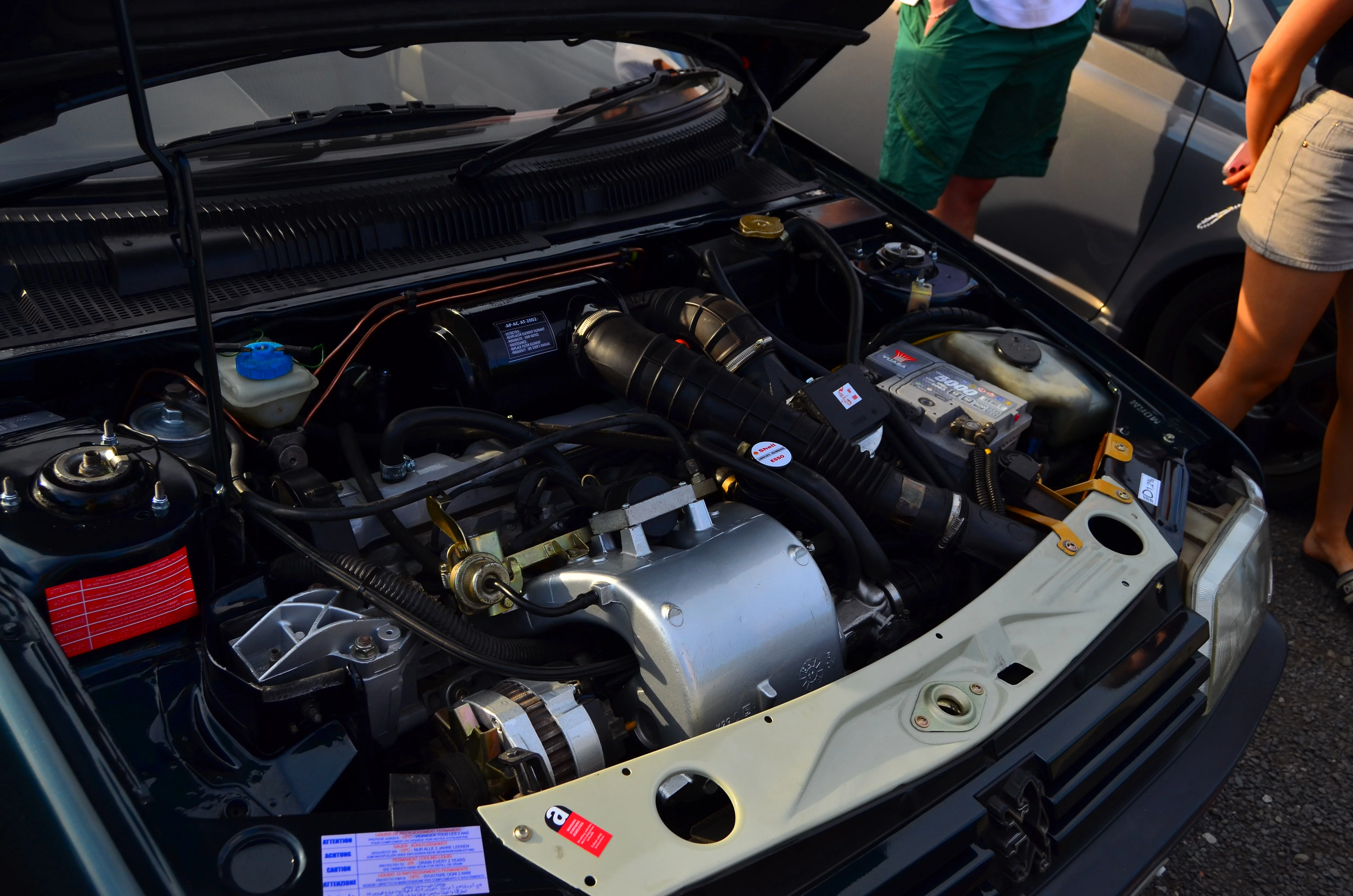 D7K_4369.webp