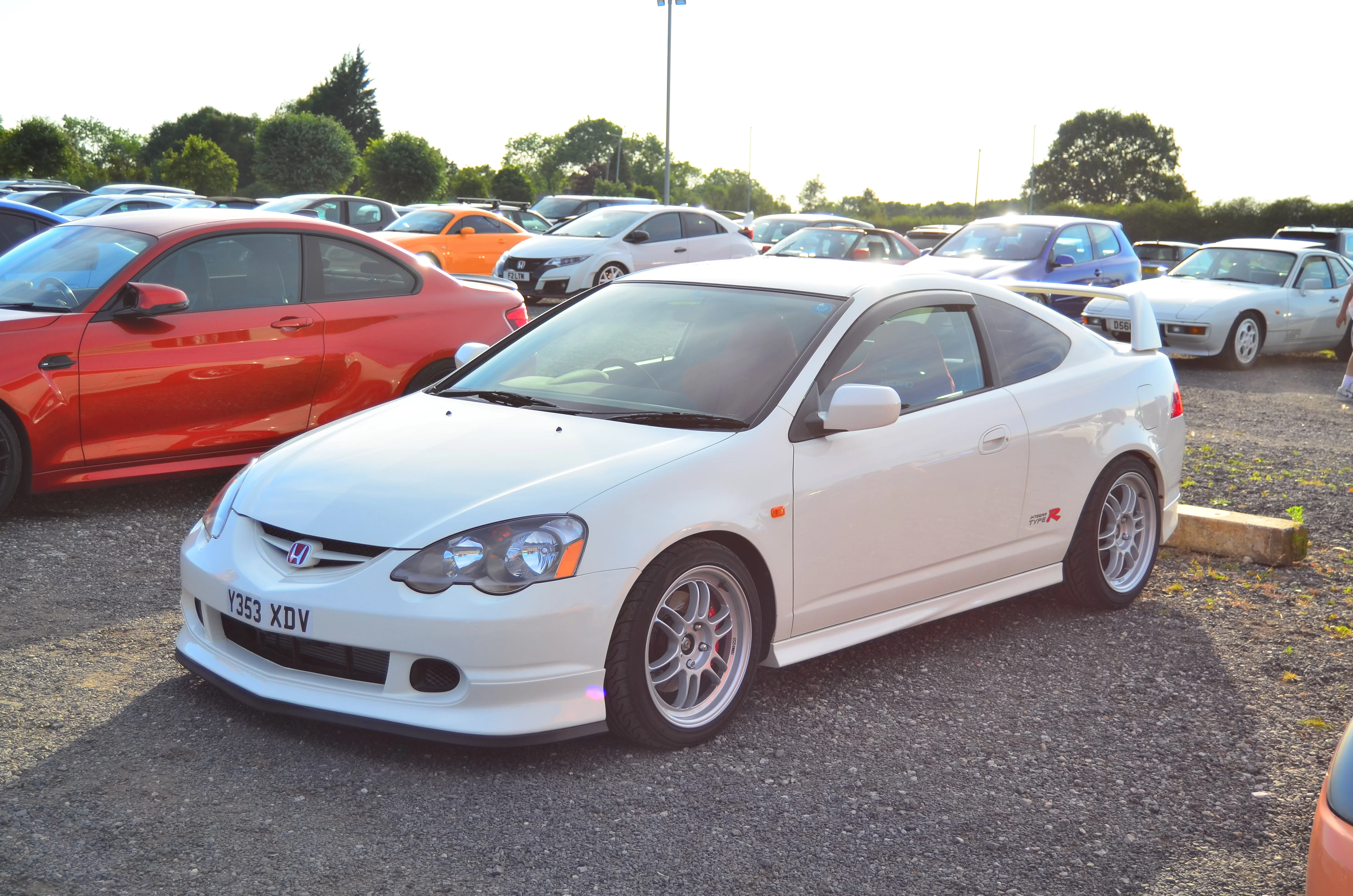 D7K_4444.webp