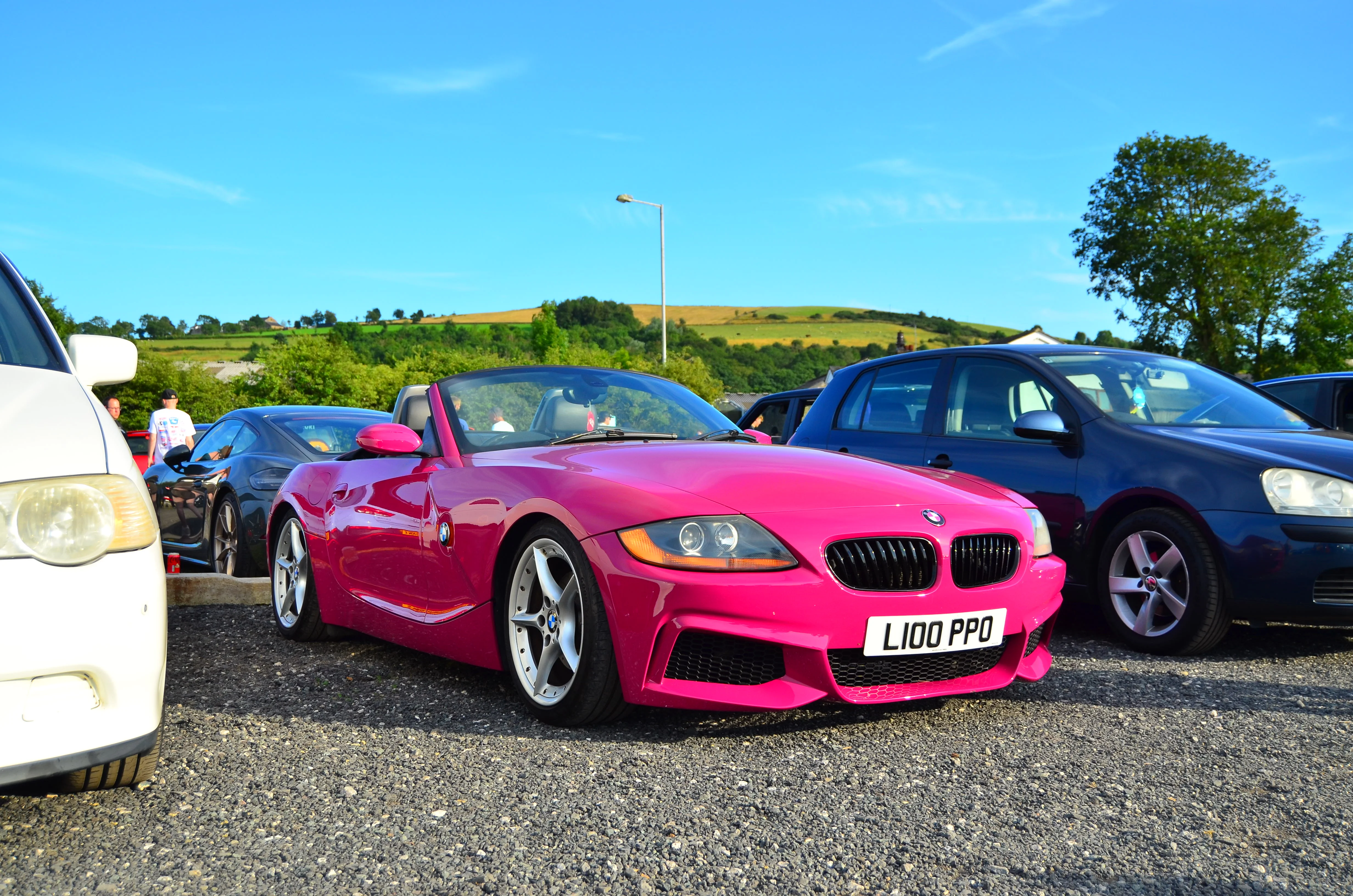 D7K_4454.webp