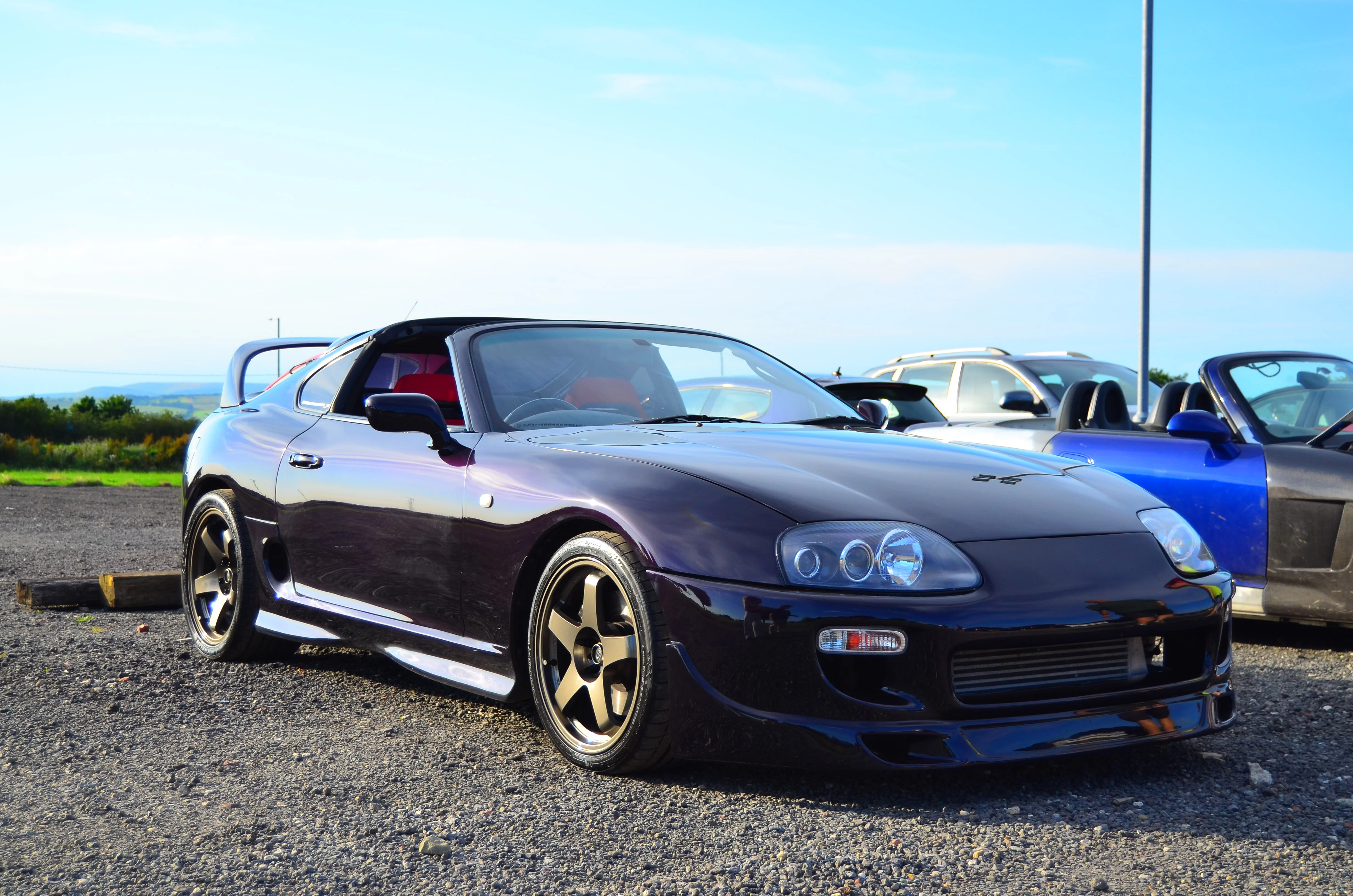 D7K_4474.webp
