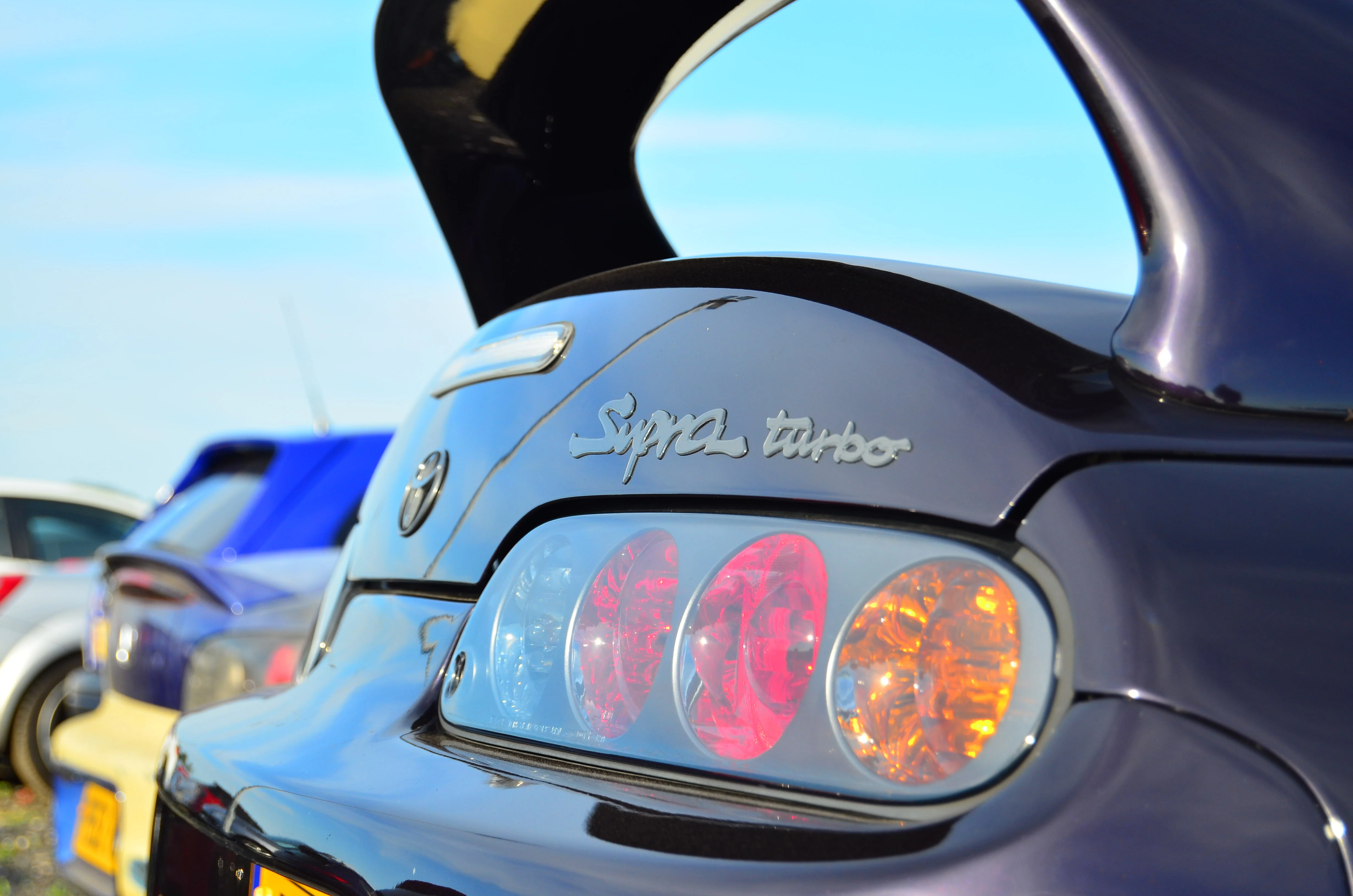 D7K_4486.webp