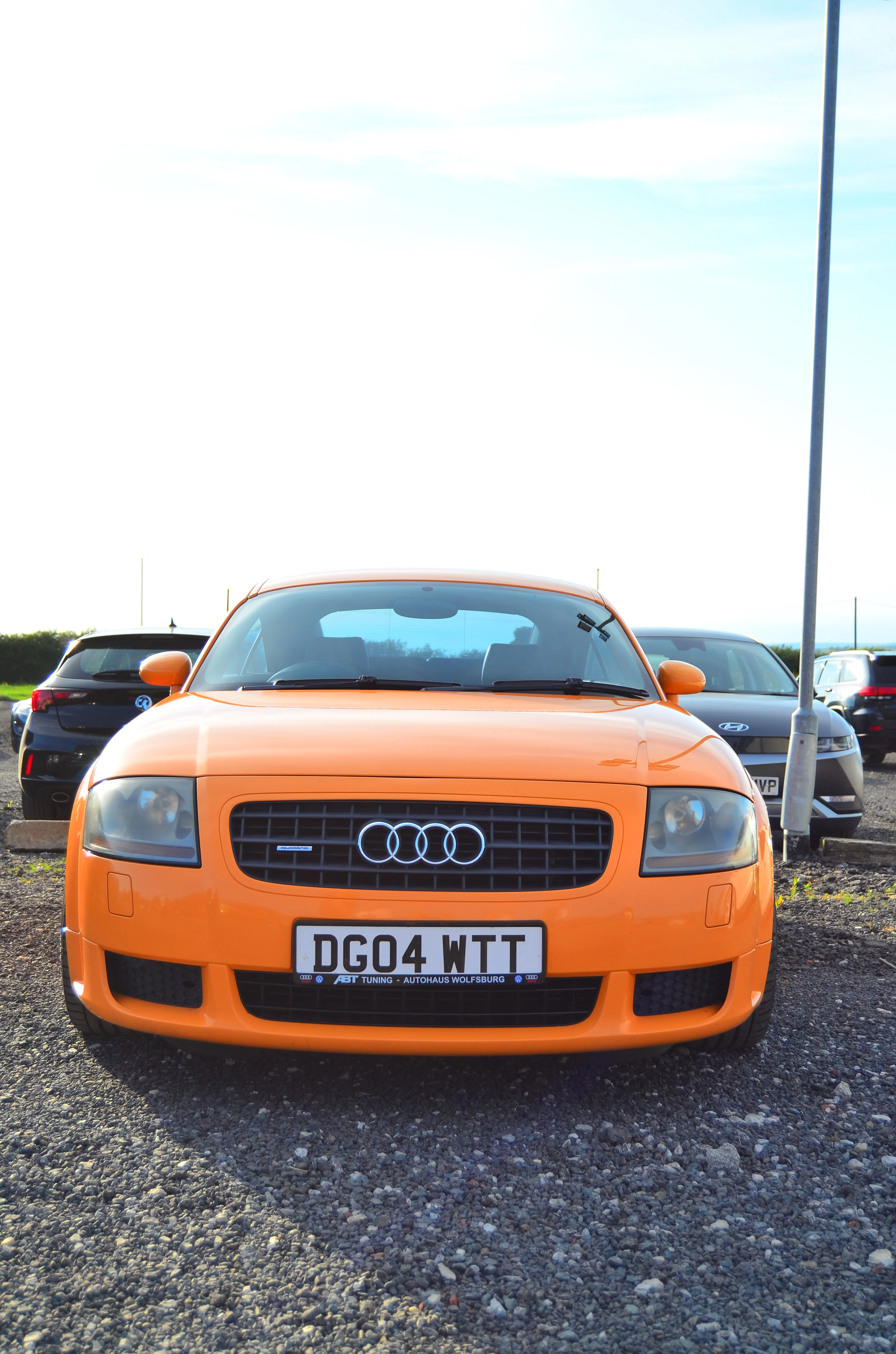 D7K_4503.webp