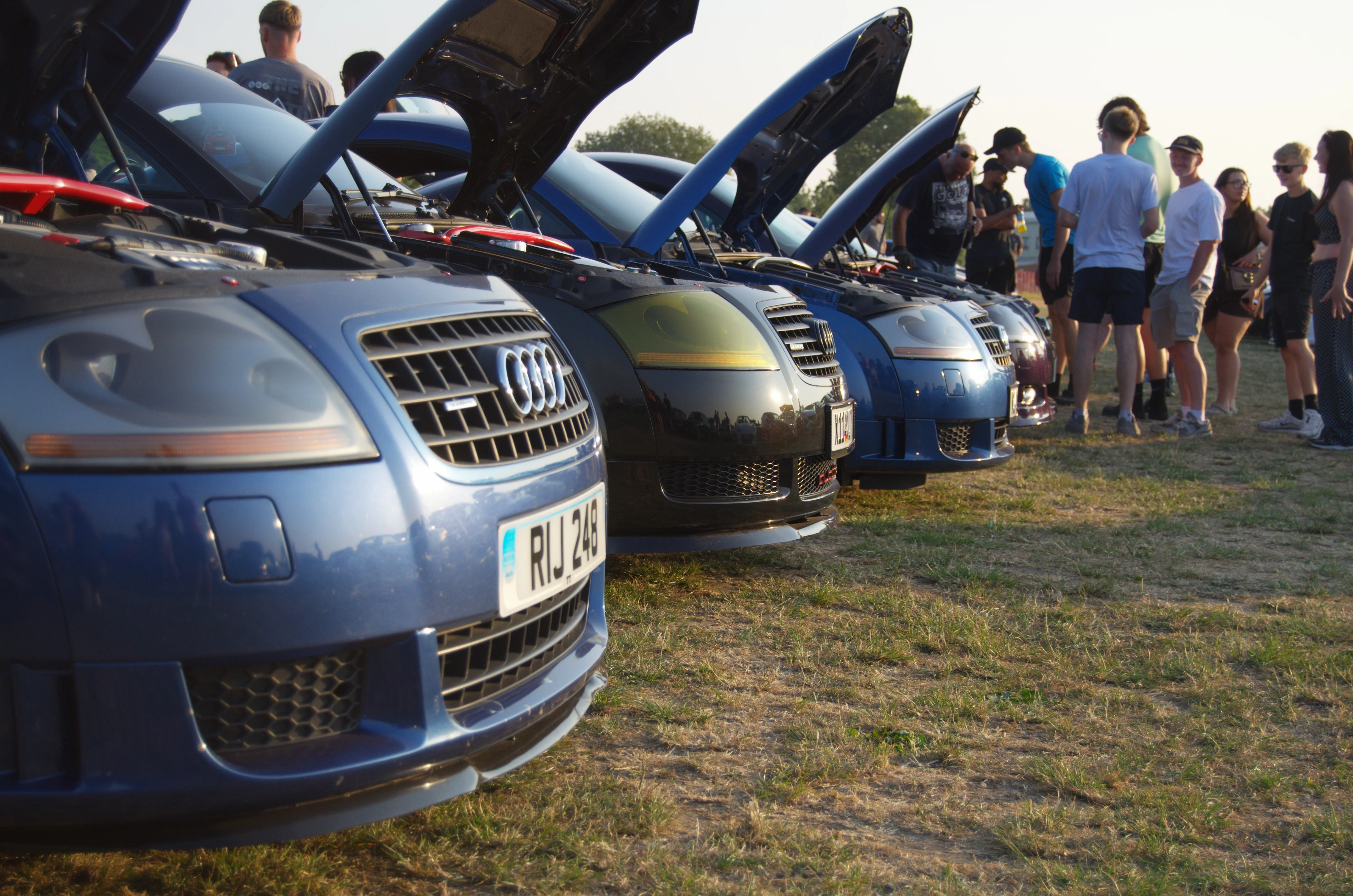 D7K_4537.webp