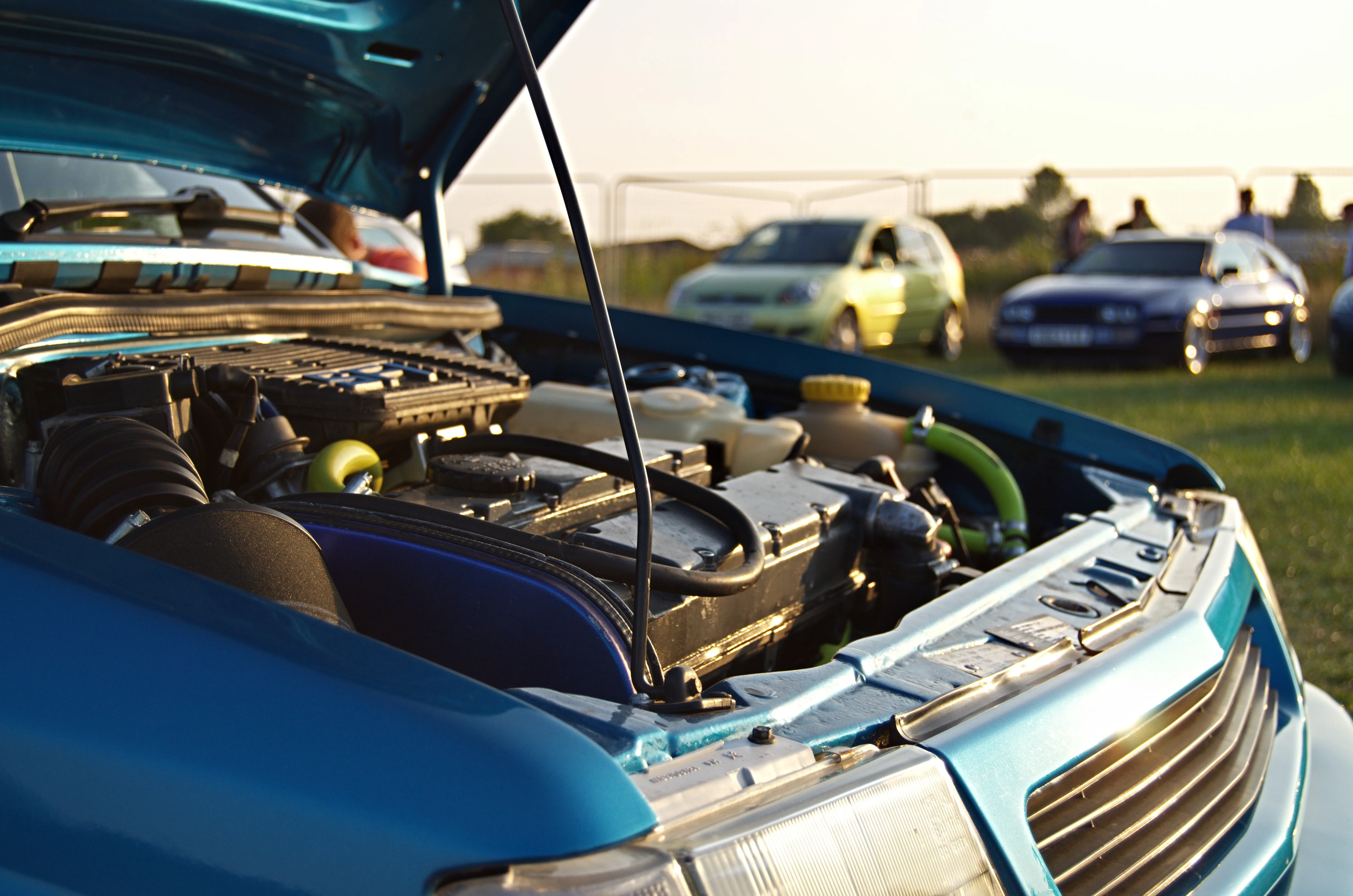 D7K_4586.webp