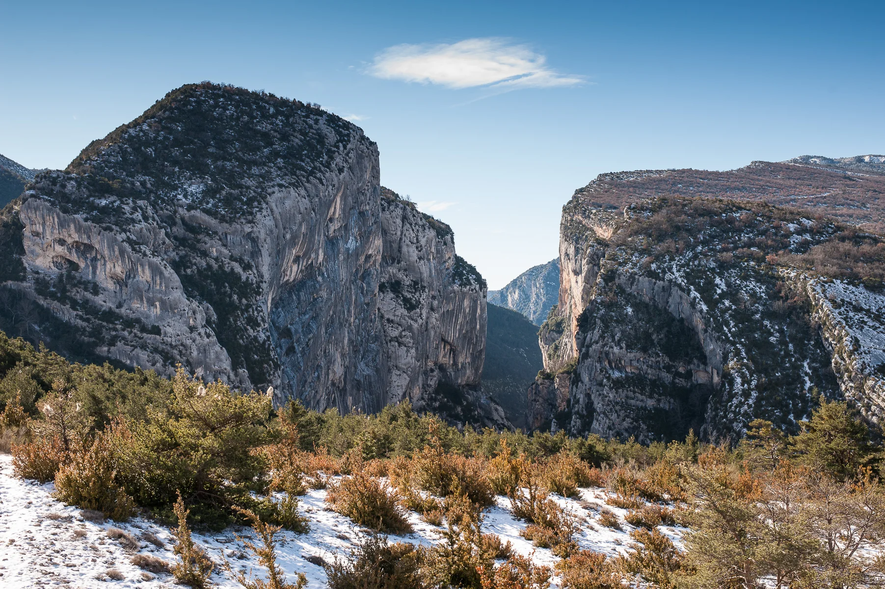 D958-04.webp