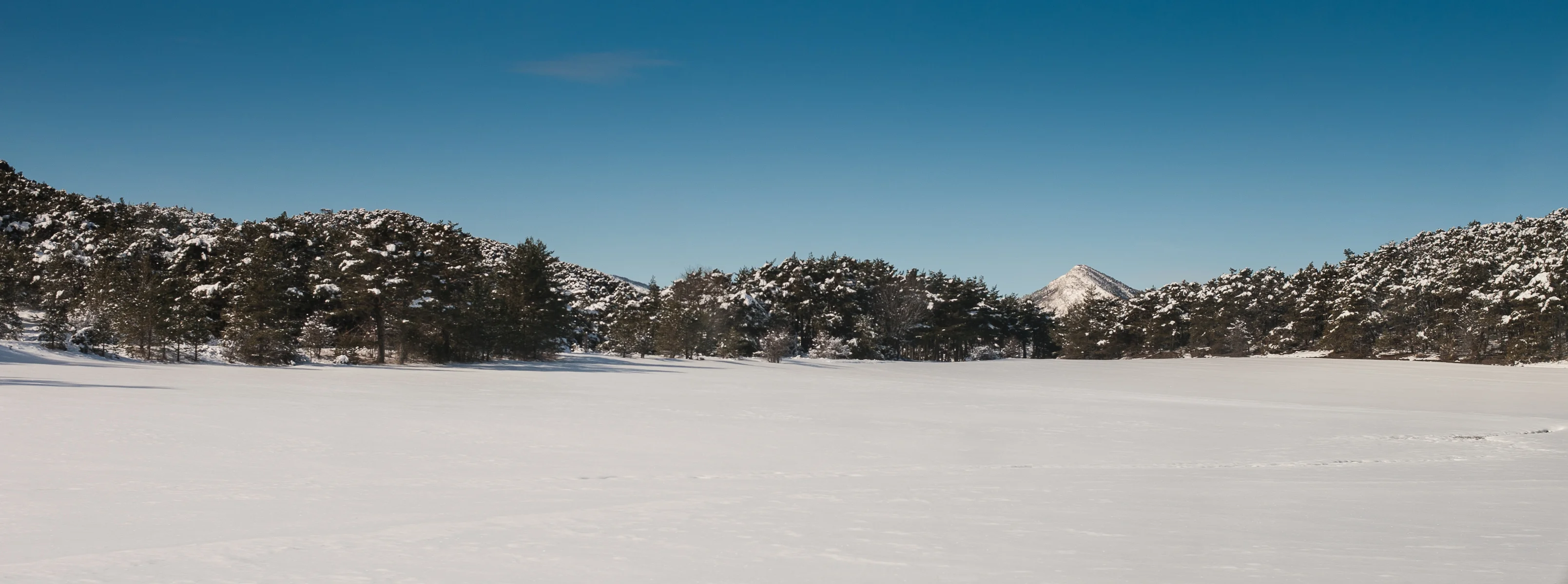D958-08.webp