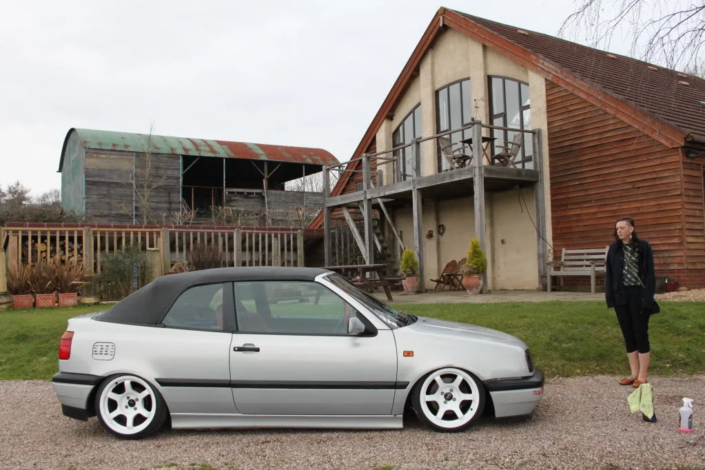 dailys.webp