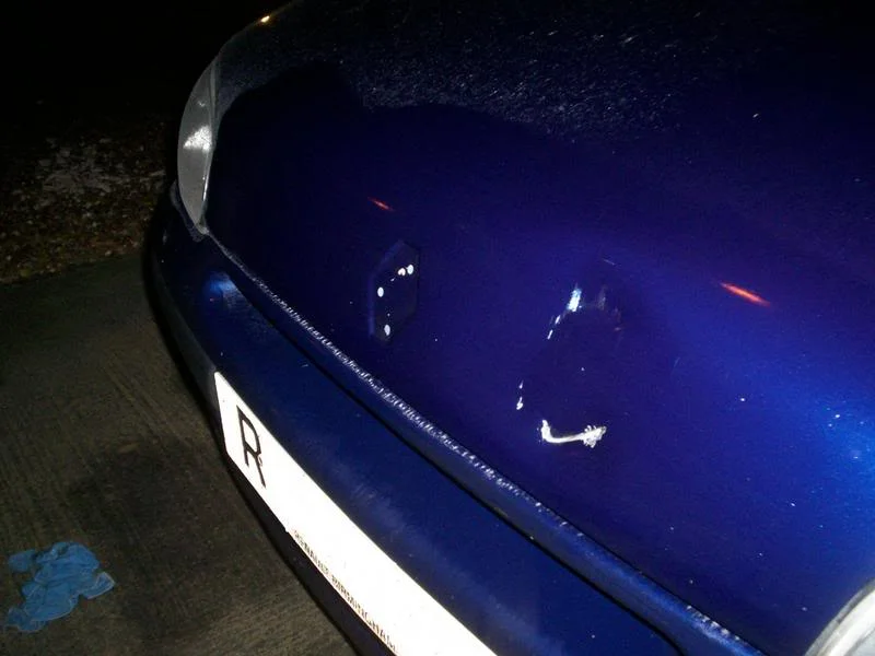 damage3.webp