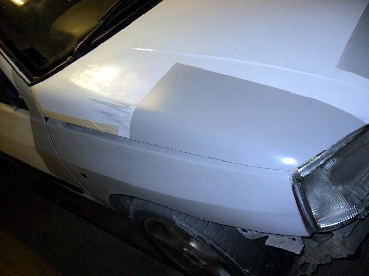 day2-beagle5.jpg day2-beagle5.jpg