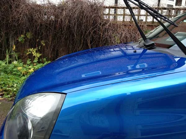 dbonnet.webp