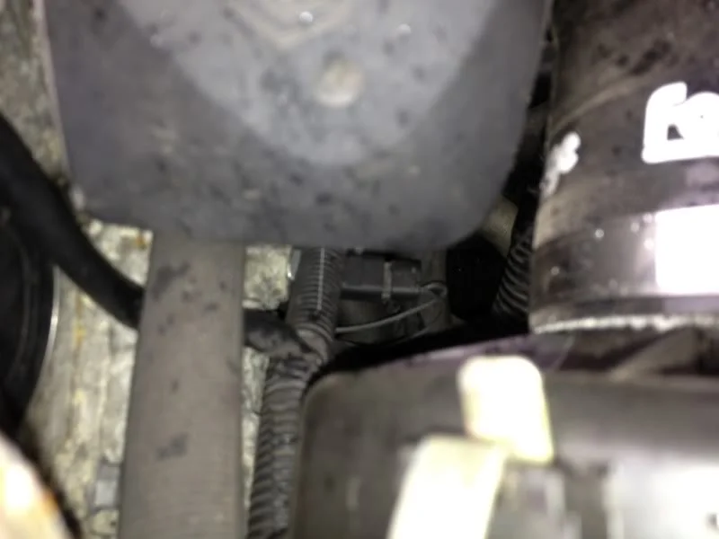 dd3a0688.webp