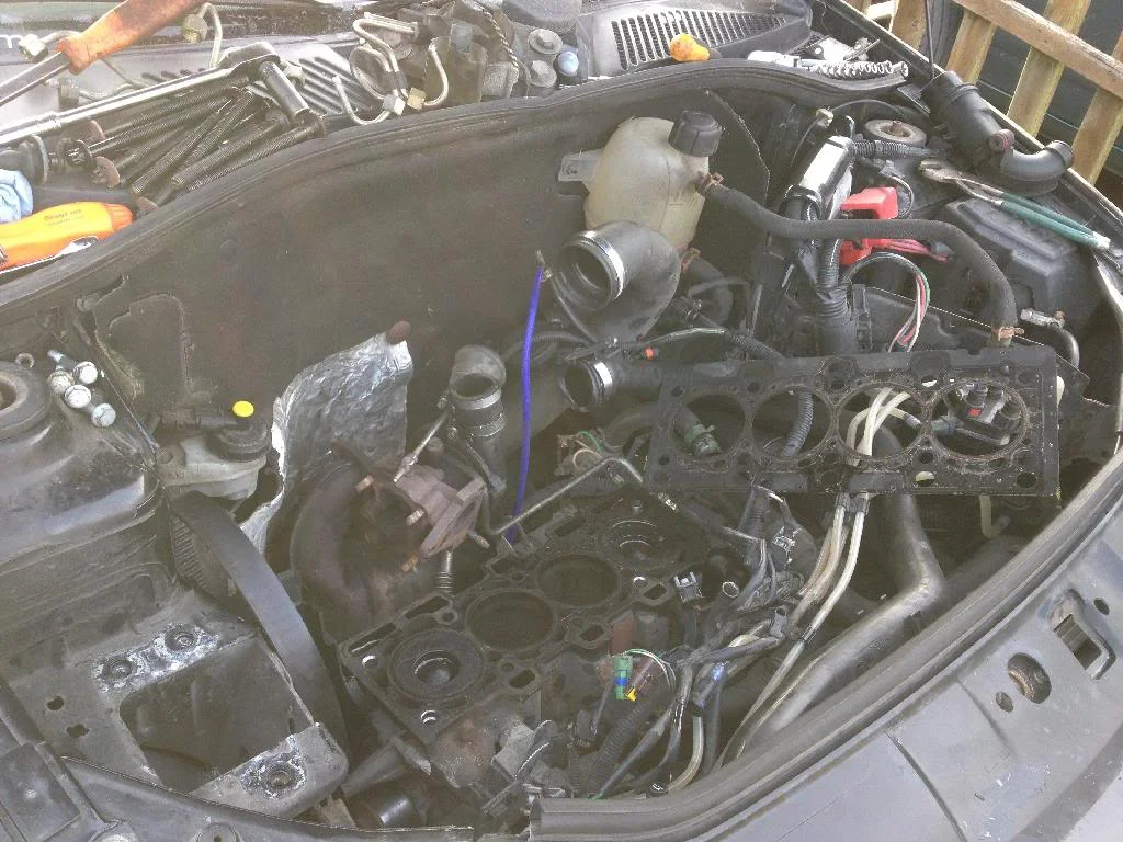 DE6A39D8-DF01-4DFC-814B-CF0ADD9FDDAB_zpsjmm6zxhc.webp