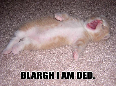 Dead_cat.webp