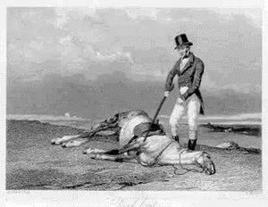 deadhorse.webp