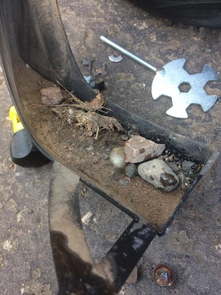 Debris collected.webp