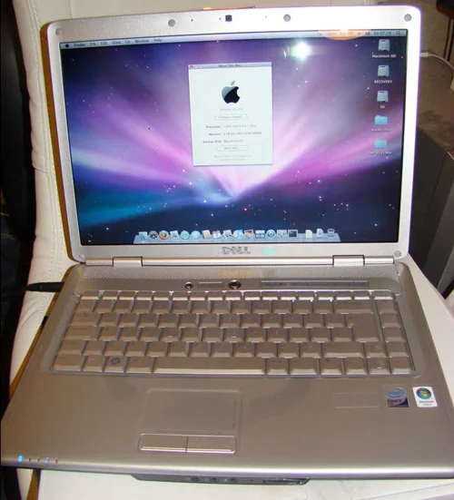 dell2.webp
