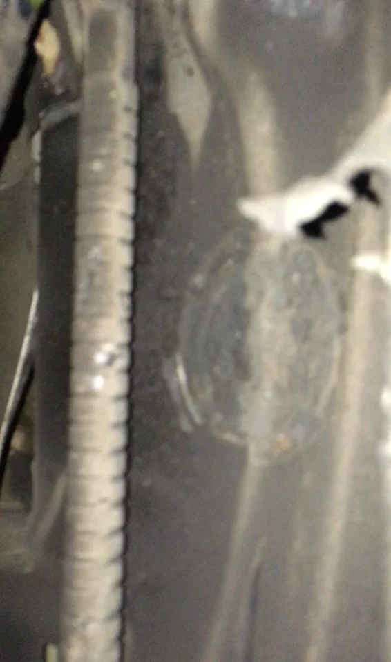 dent.webp