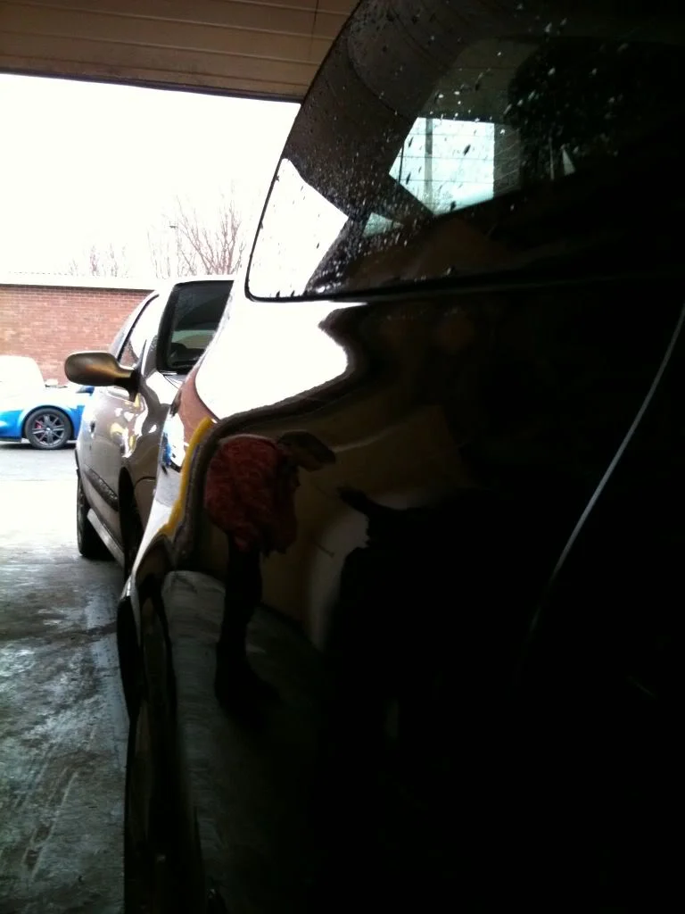 Dentremovepic3.webp