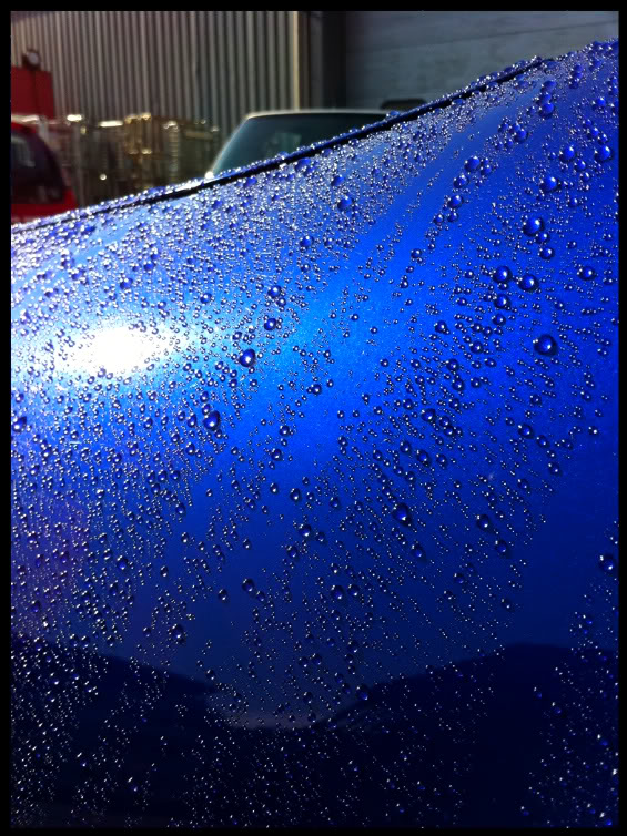 dfebe0a8.jpg dfebe0a8.jpg