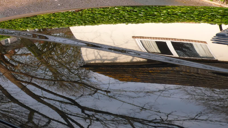 DodoBMW040.jpg DodoBMW040.jpg