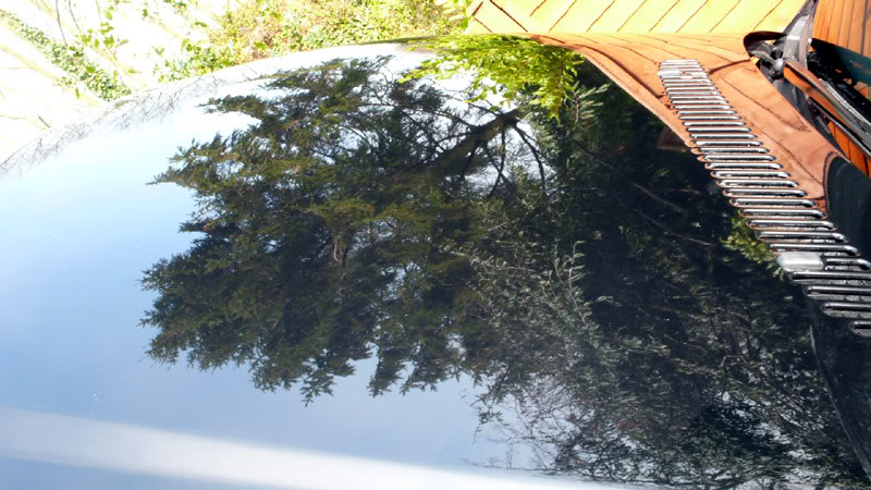 DodoBMW055.jpg DodoBMW055.jpg