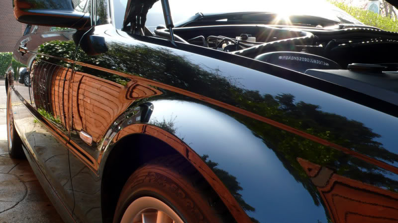 DodoBMW056-1.jpg DodoBMW056-1.jpg