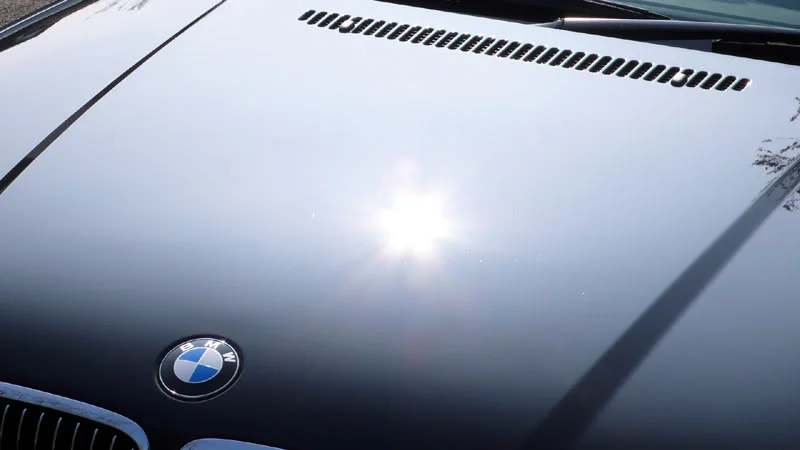 DodoBMW059.webp