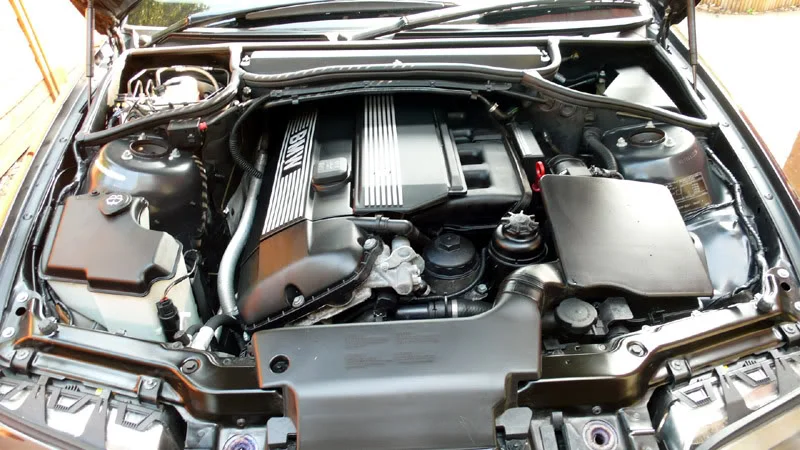 DodoBMW062.webp