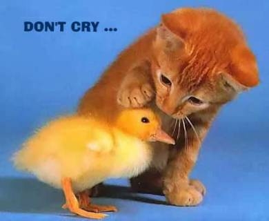 dont_cry_picdump-s390x320-140793.jpg