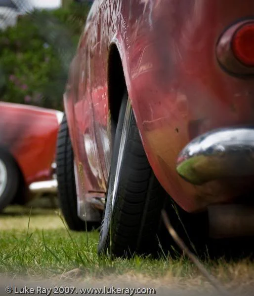 DOVW07-42.webp