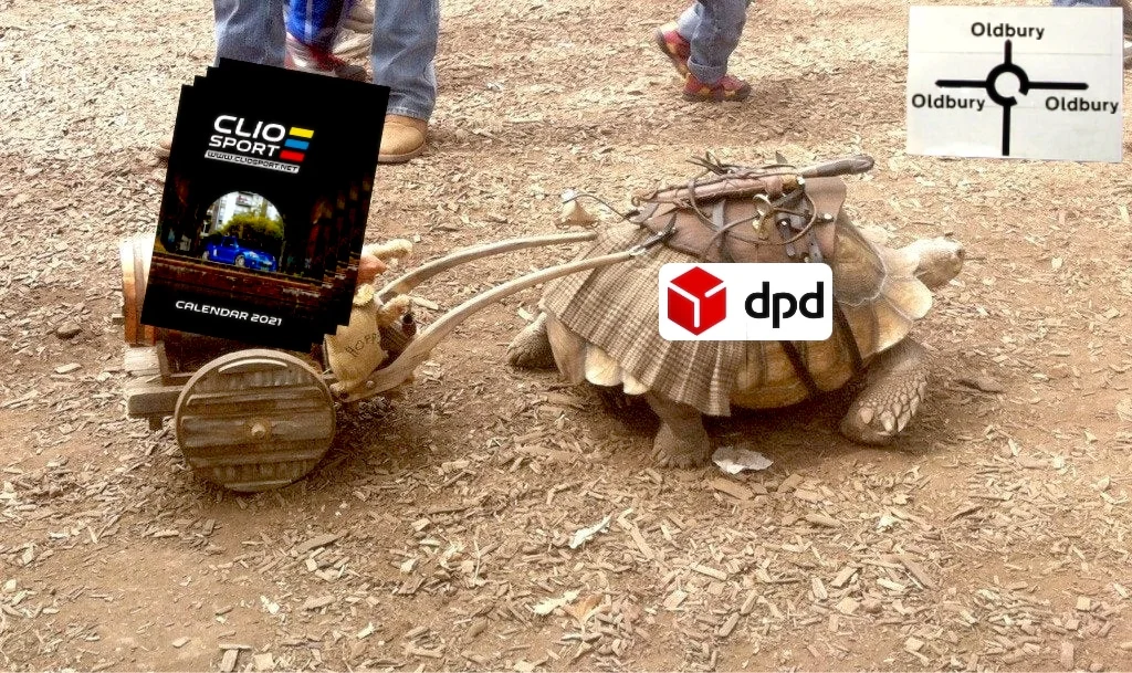 dpd tortoise.webp
