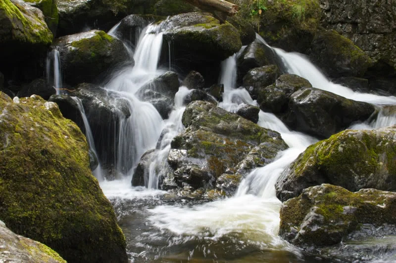 DPP_00110.webp