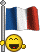 drapeau-france5.gif