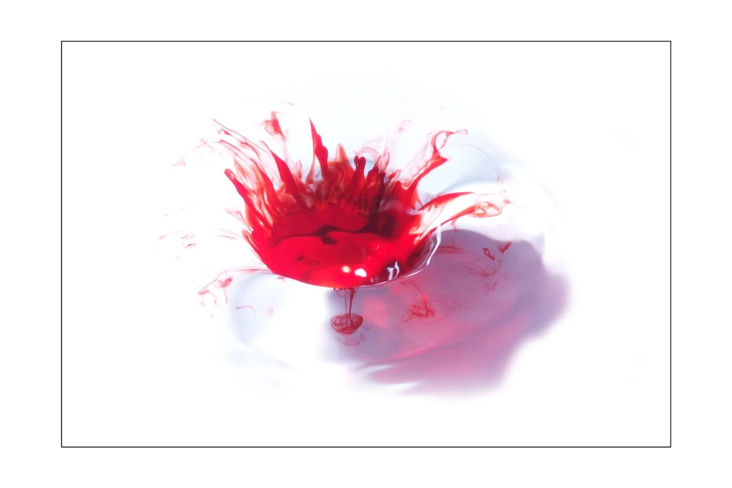 drop1.webp