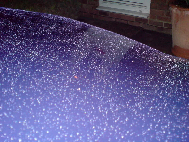 DSC00002.webp
