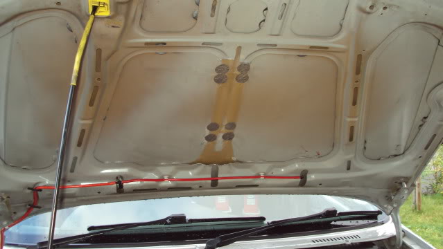 DSC00003.jpg