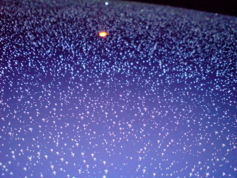 DSC00003.webp