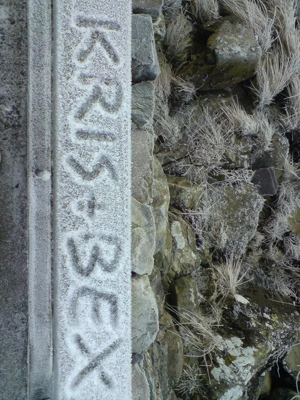 DSC00004.webp
