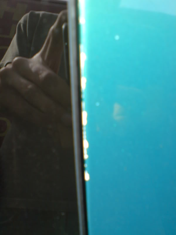 DSC00005.jpg