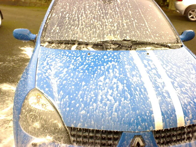 DSC00005.webp