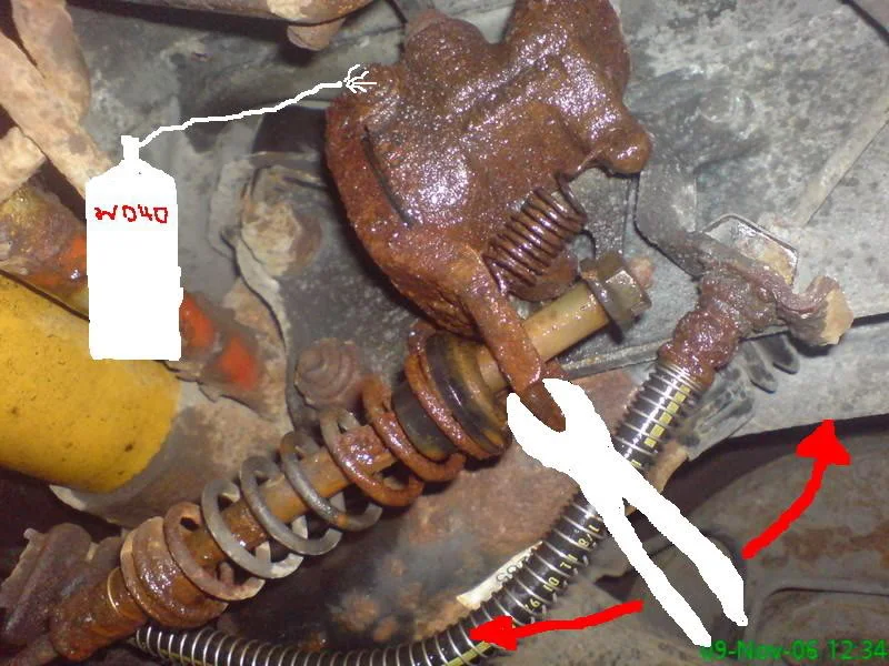 DSC00005.webp
