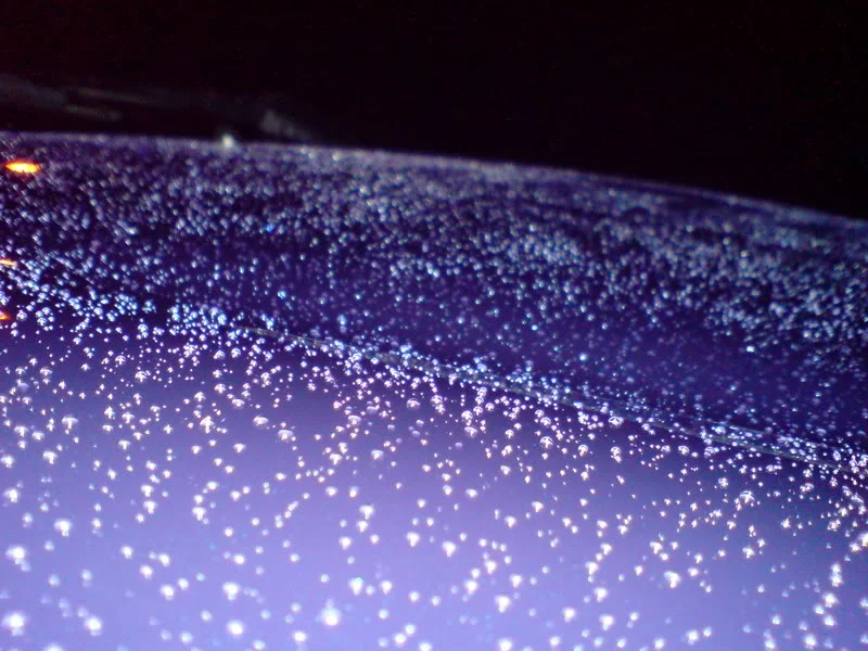 DSC00007.webp