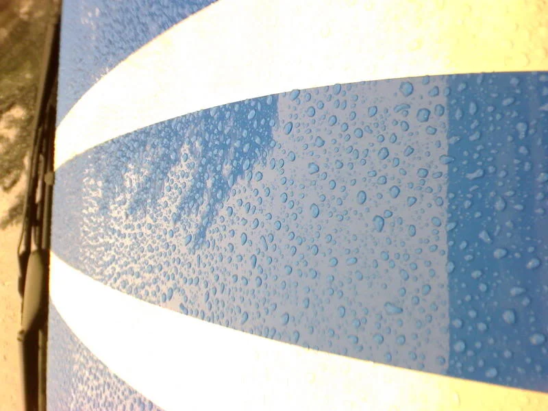 DSC00007.webp