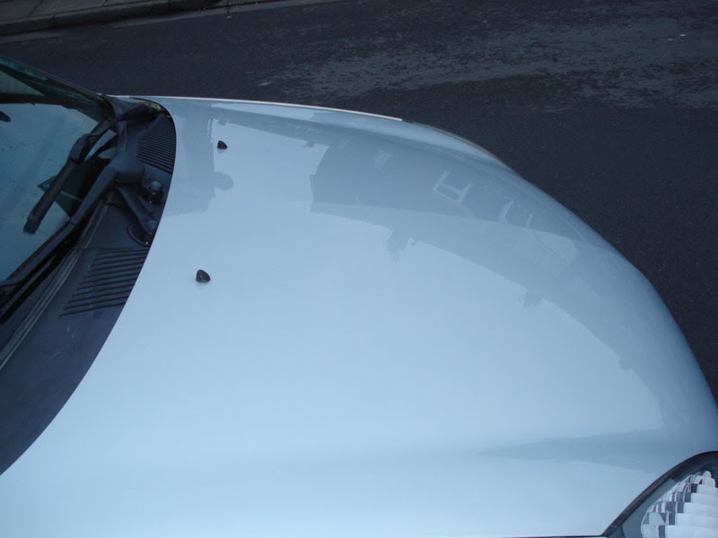 DSC00008.jpg DSC00008.jpg