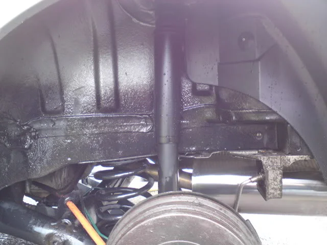 DSC00009.webp