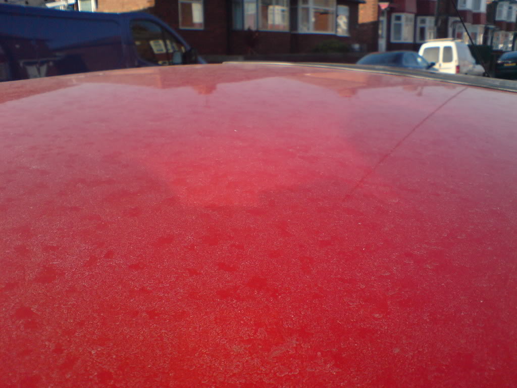 DSC00011.jpg DSC00011.jpg