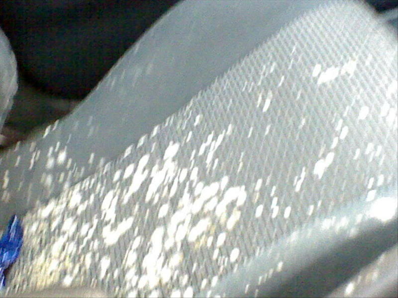 DSC00014.jpg DSC00014.jpg