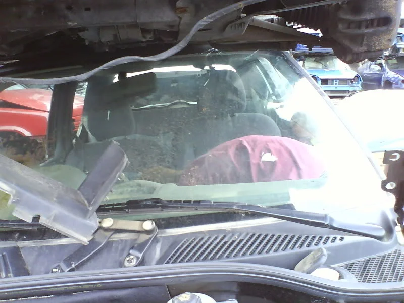 DSC00014.webp